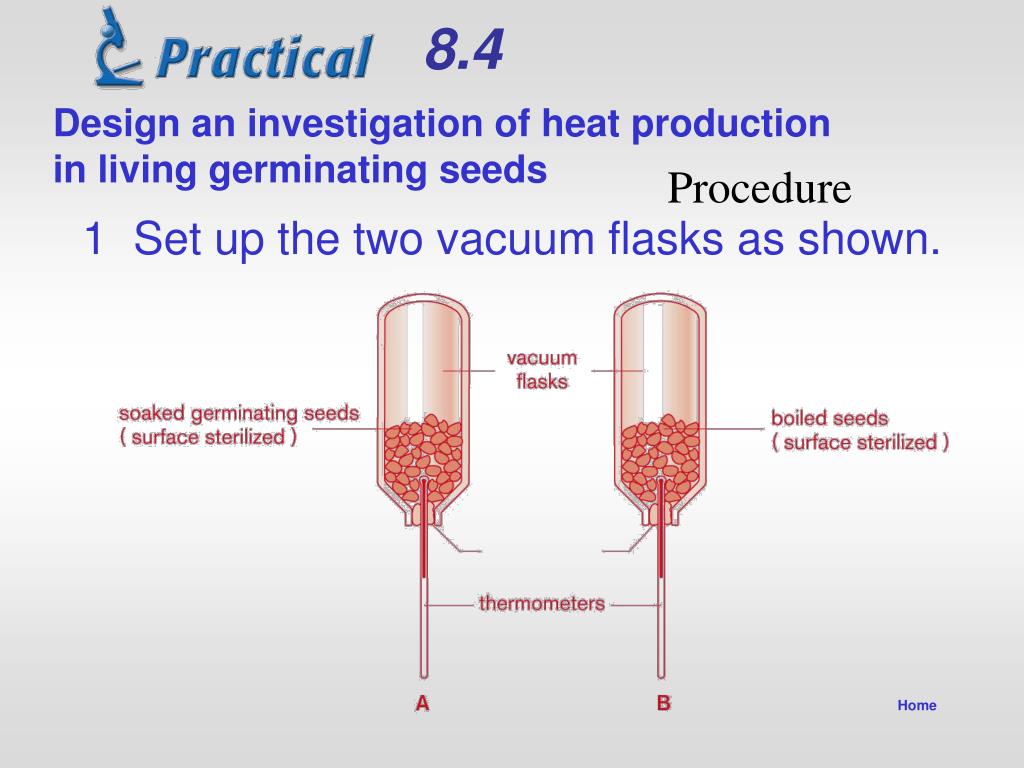 PPT Activity Book PowerPoint Presentation, free download ID568819