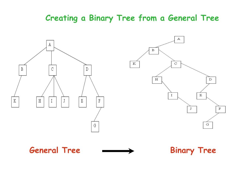 PPT General Trees and Variants CPSC 335 PowerPoint Presentation, free