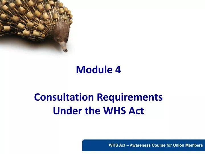 PPT Module 4 Consultation Requirements Under the WHS Act PowerPoint Presentation ID571561