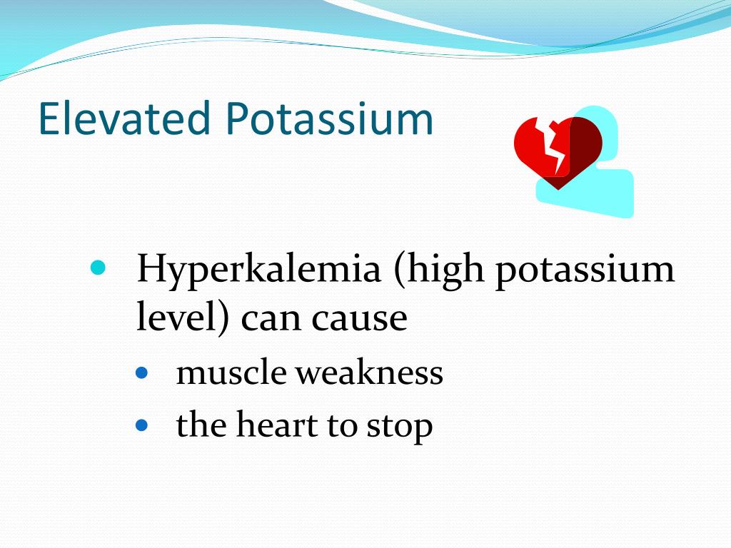 PPT Kidney DiseaseWhat You Need to Know PowerPoint Presentation