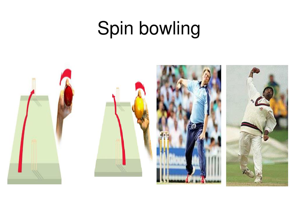 PPT Cricket PowerPoint Presentation, free download ID575588