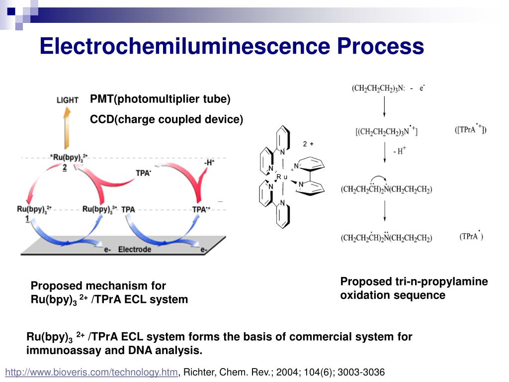 PPT DNA Hybridization Detection Electrochemiluminescence based DNA