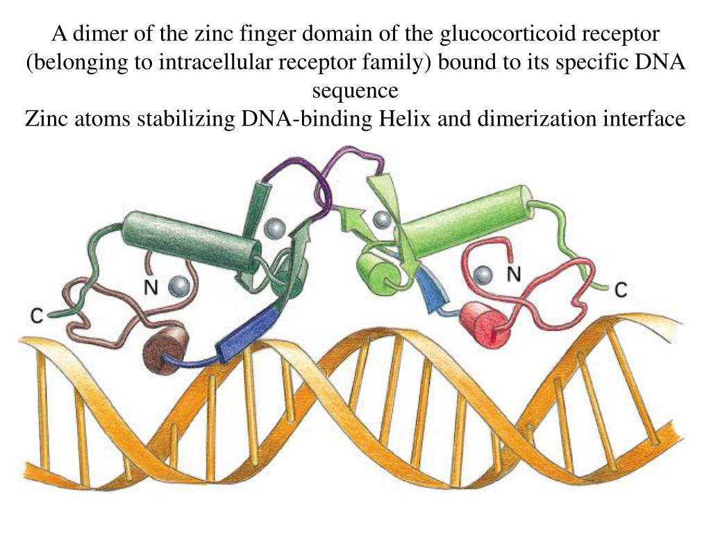 PPT Last Class PowerPoint Presentation, free download ID577308