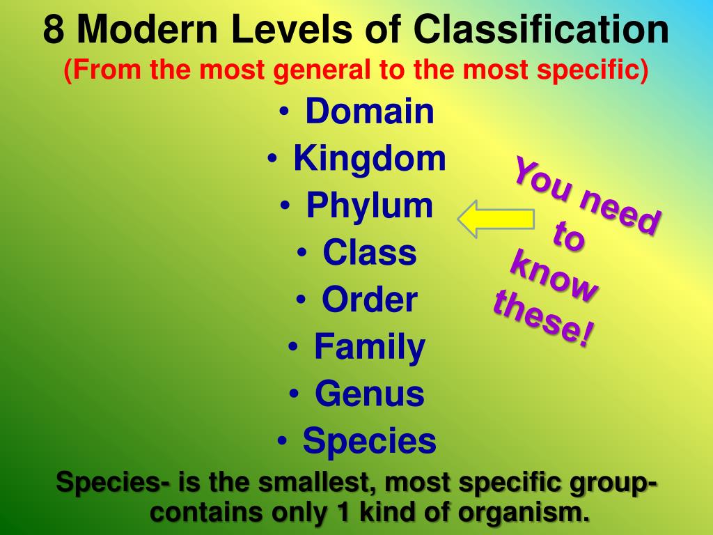 PPT Chapter 17 Classification PowerPoint Presentation, free download