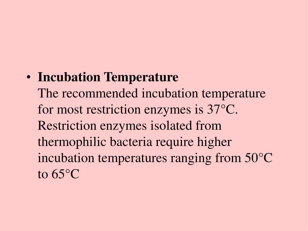 PPT Engineering PowerPoint Presentation, free download ID58444