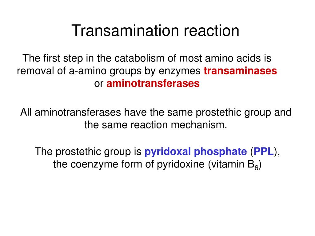 PPT AMINO ACID METABOLISM PowerPoint Presentation, free download ID