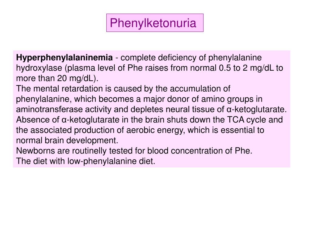 PPT AMINO ACID METABOLISM PowerPoint Presentation, free download ID