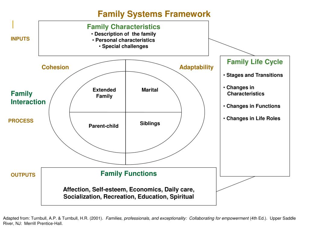 PPT Understanding Family Systems in Promoting and Supporting