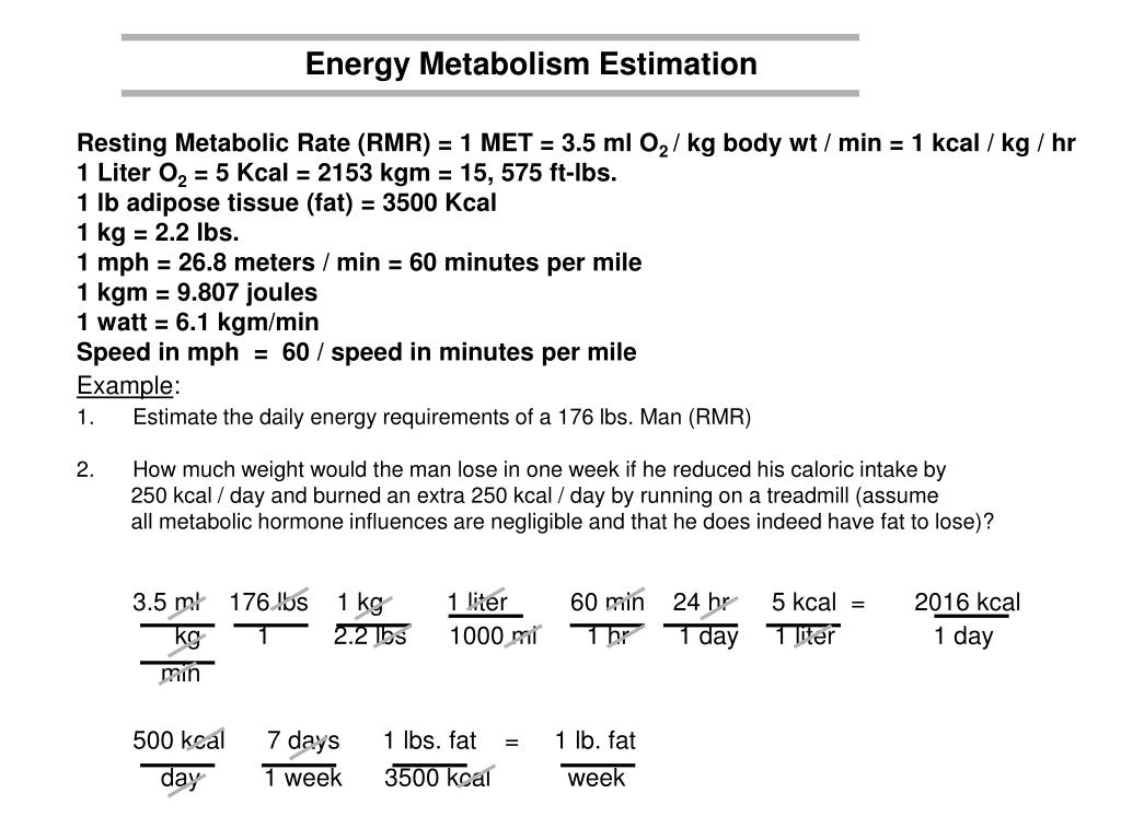 PPT ACSM estimation equations for exercise metabolism PowerPoint