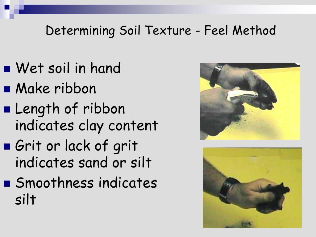 PPT Lecture 2a Soil Texture Soil Texture = Sand, Silt & Clay in a soil. PowerPoint