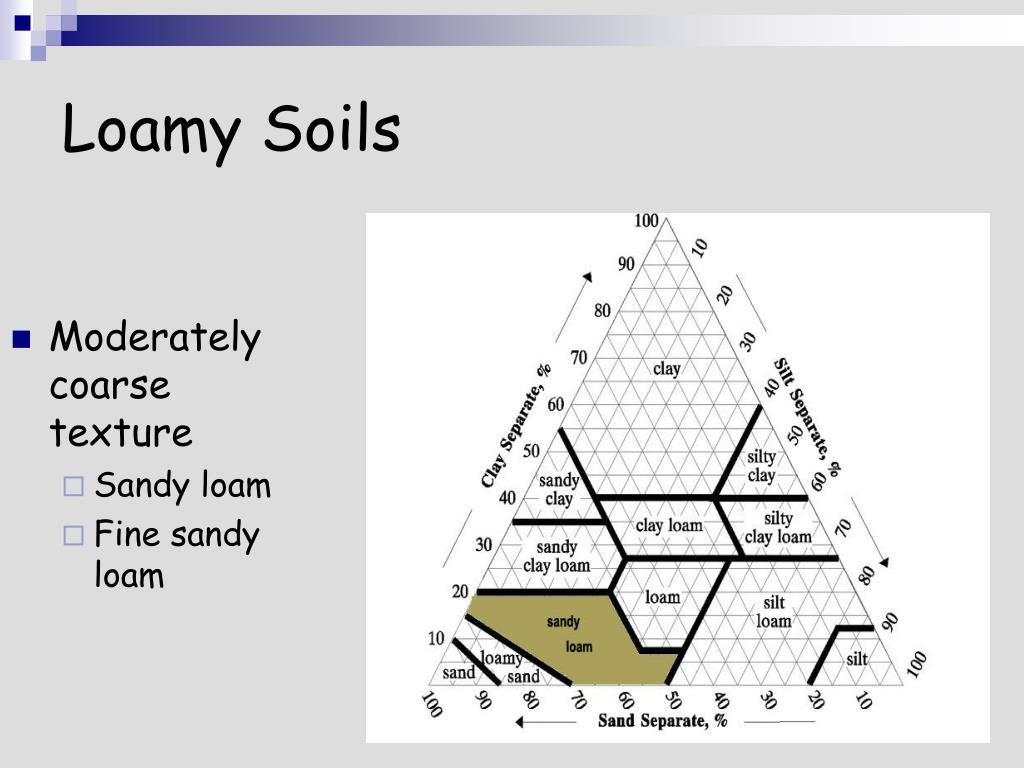 PPT Lecture 2a Soil Texture Soil Texture = Sand, Silt & Clay in a