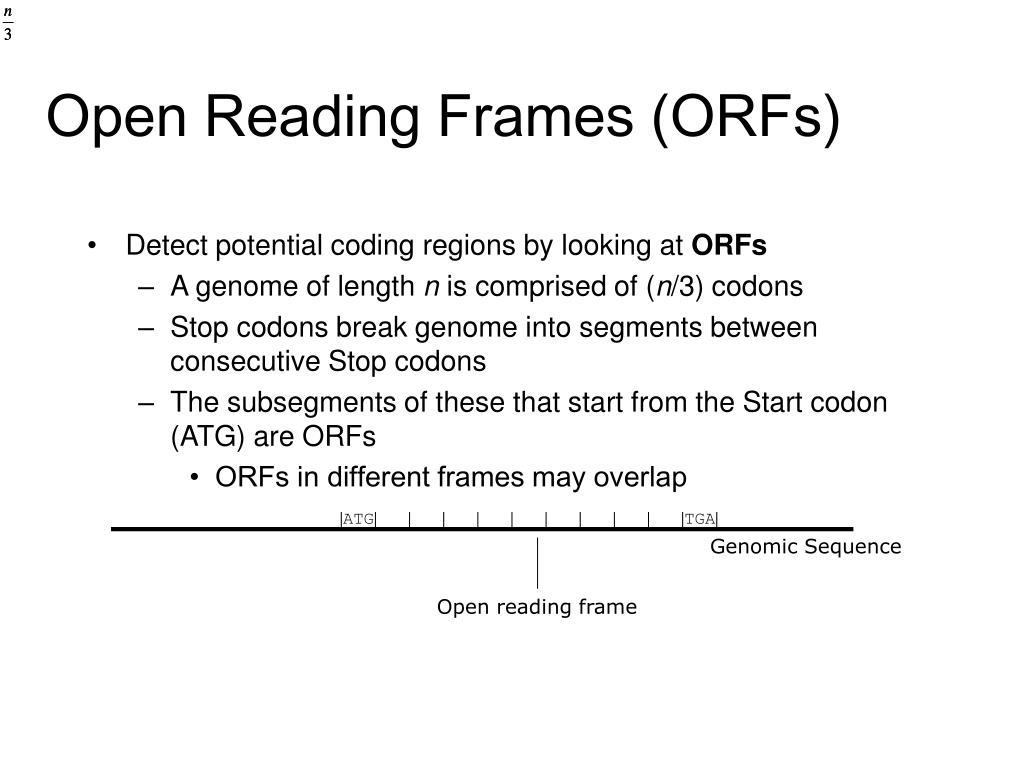 PPT 3. Genome Annotation Gene Prediction PowerPoint Presentation
