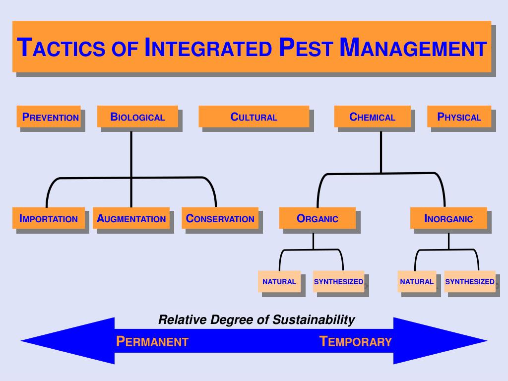PPT Integrated Pest Management Keeping the “I” in IPM J. P. Cuda, Ph