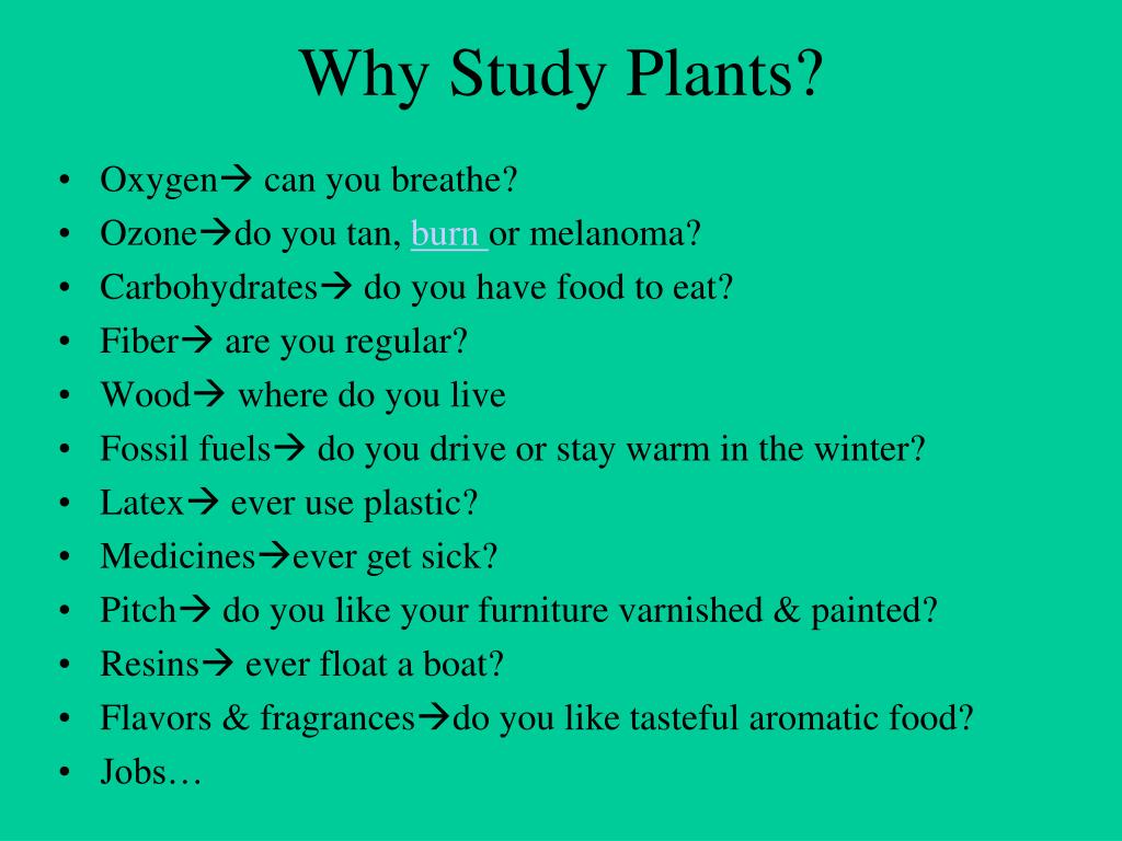 PPT Plants & Photosynthesis A Dr. Production PowerPoint Presentation