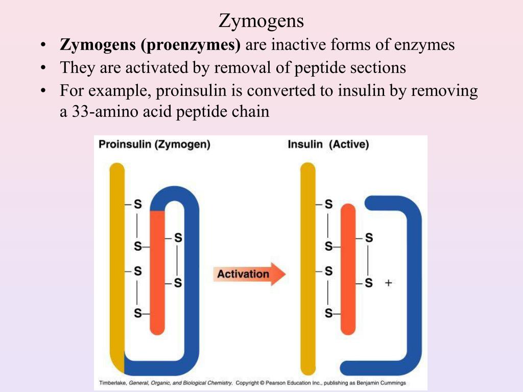PPT Regulation of Enzyme Activity PowerPoint Presentation, free