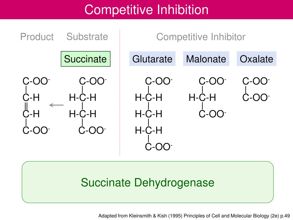 PPT Competitive Inhibition PowerPoint Presentation, free download