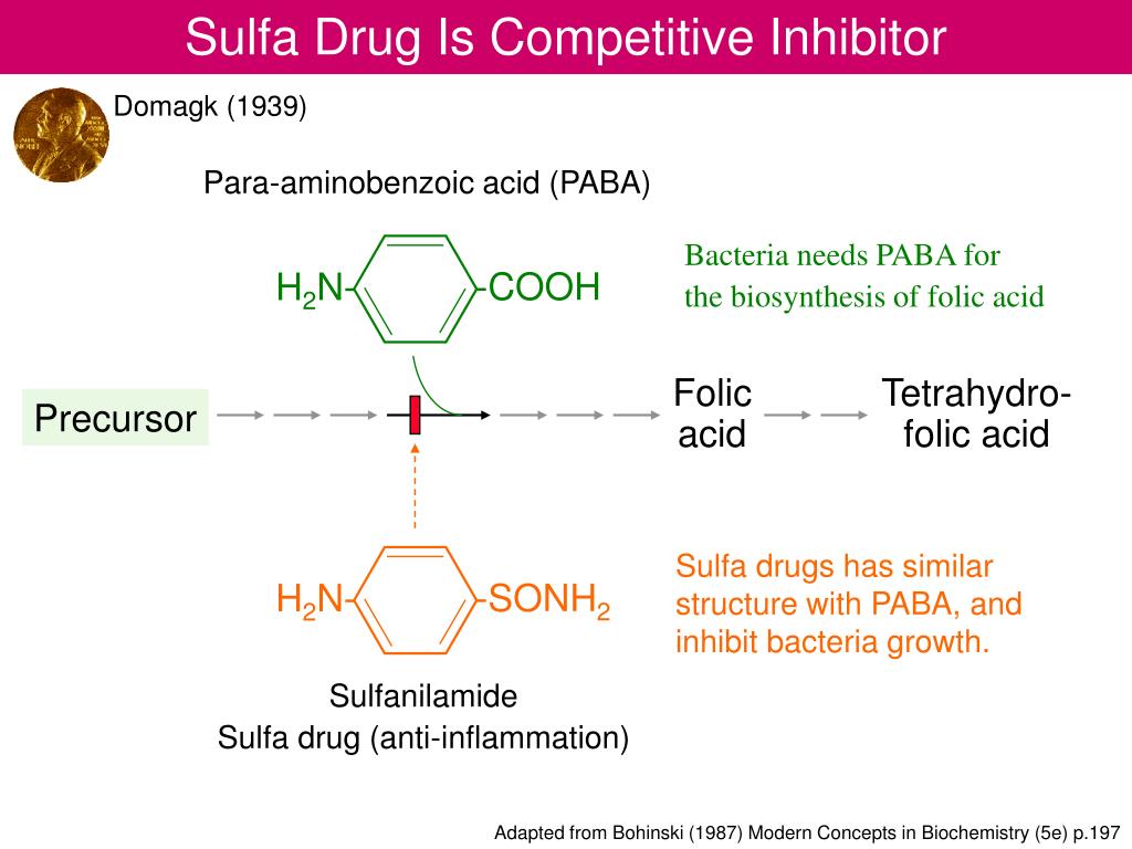 PPT Competitive Inhibition PowerPoint Presentation, free download