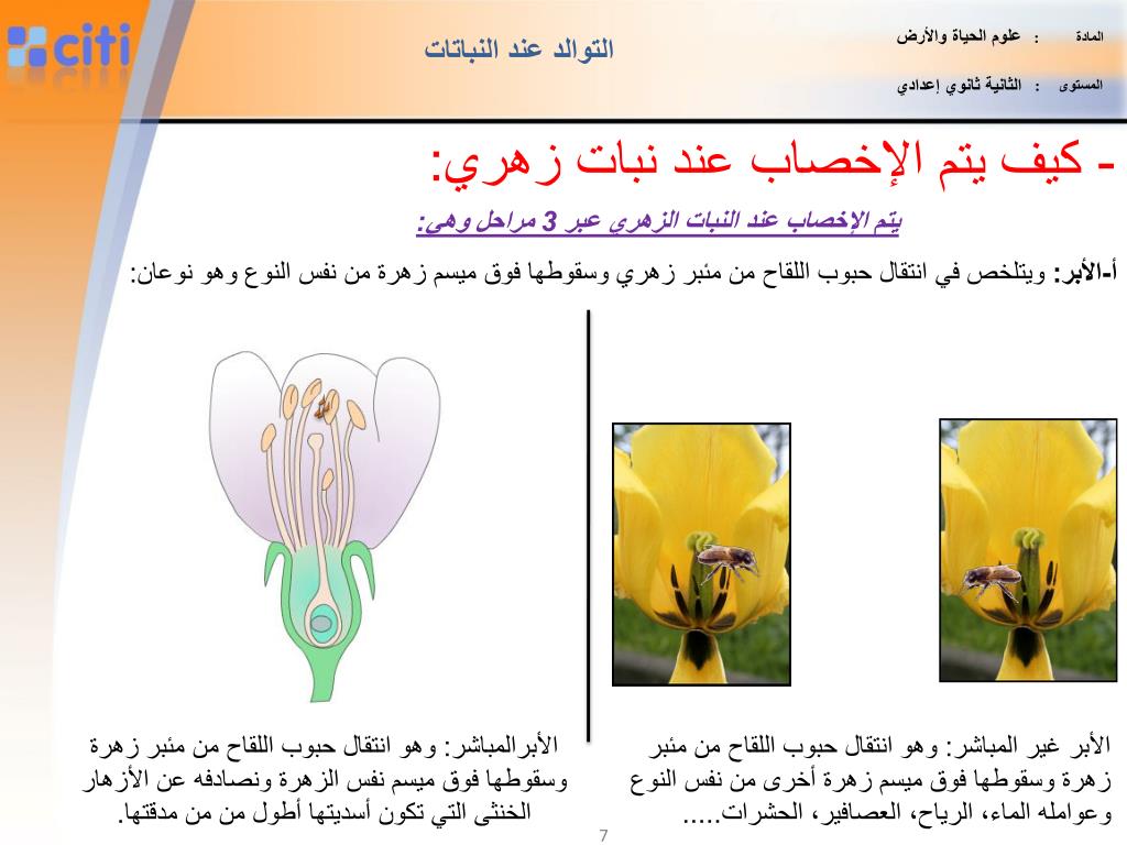 PPT ا لمادة علوم الحياة والأرض PowerPoint Presentation