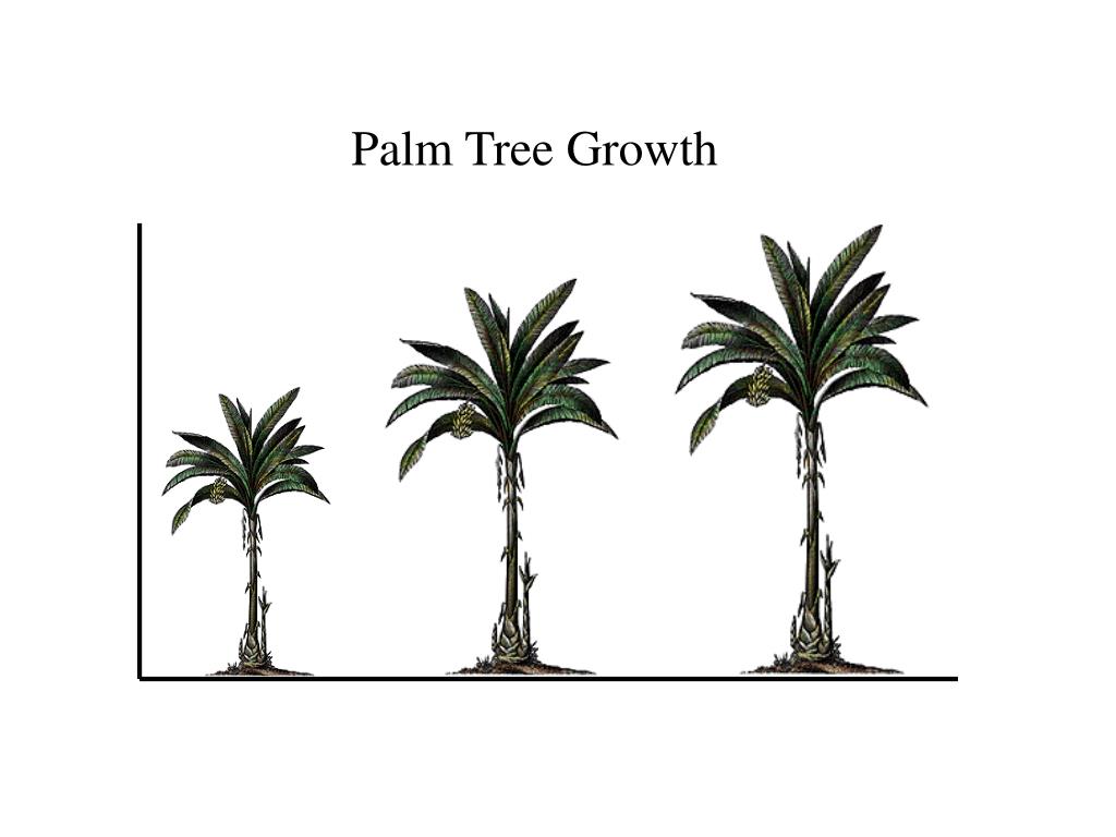 PPT Designing & Using Charts & Graphs PowerPoint Presentation ID598748