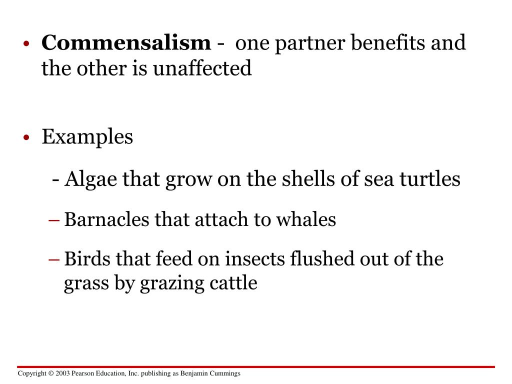 PPT Communities biodiversity, issues keystone species habitats