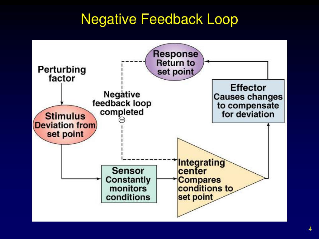 PPT Maintaining the Internal Environment PowerPoint Presentation