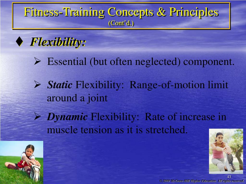 PPT Basic Concept of Fitness PowerPoint Presentation ID602872