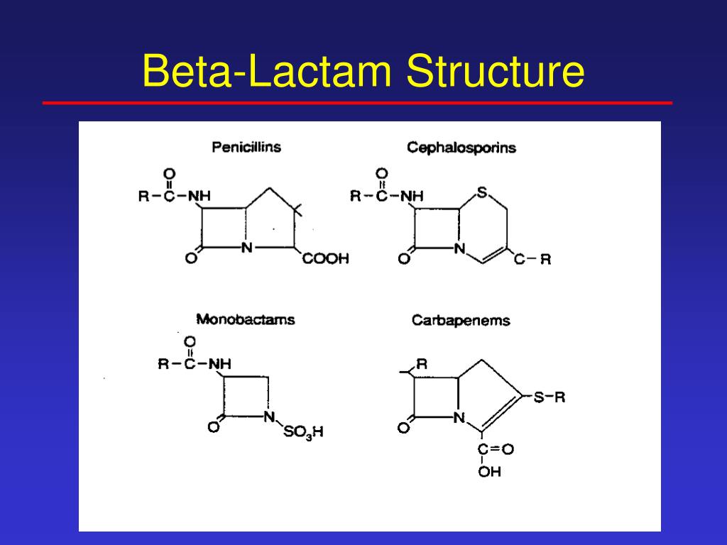 PPT Betalactam antibiotics PowerPoint Presentation, free download