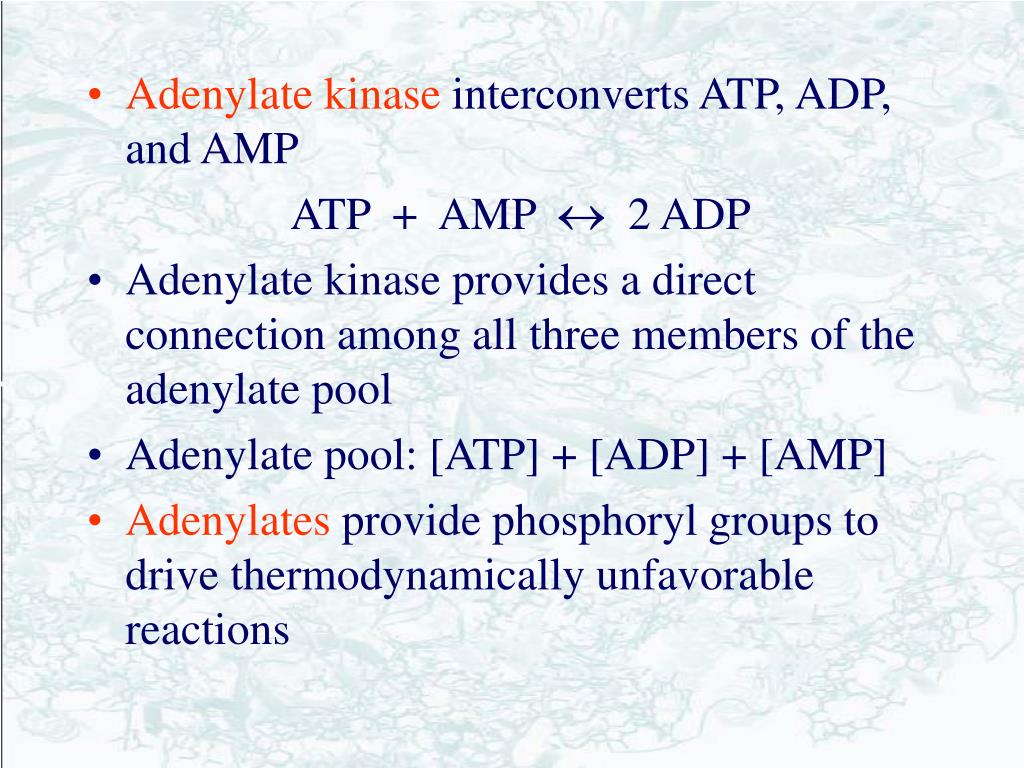 PPT Chapter 27 PowerPoint Presentation ID609853