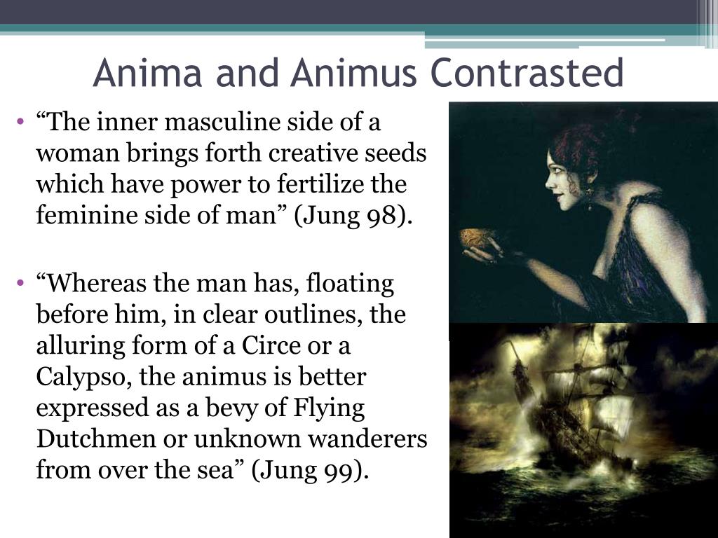 PPT Anima/Animus PowerPoint Presentation, free download ID610436