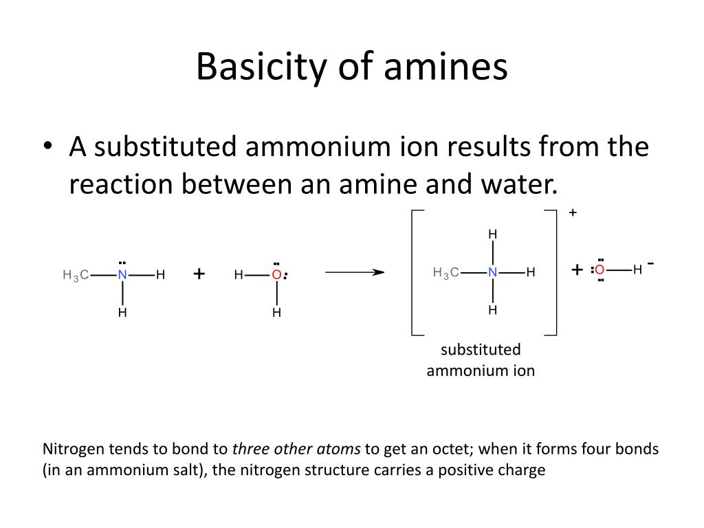 PPT Amines and Amides PowerPoint Presentation, free download ID611739