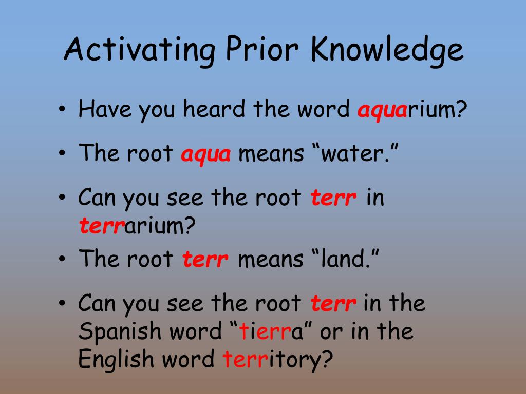 PPT Vocabulary and Concept Development EDI PowerPoint Presentation