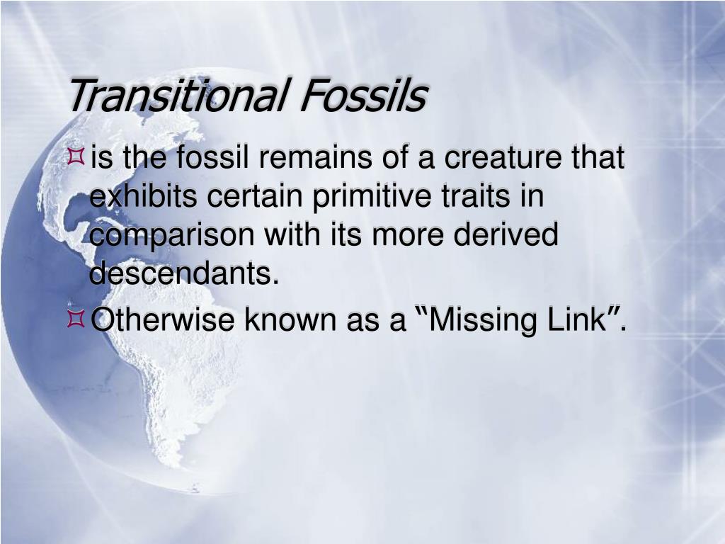 PPT Evidence for Evolution PowerPoint Presentation, free download