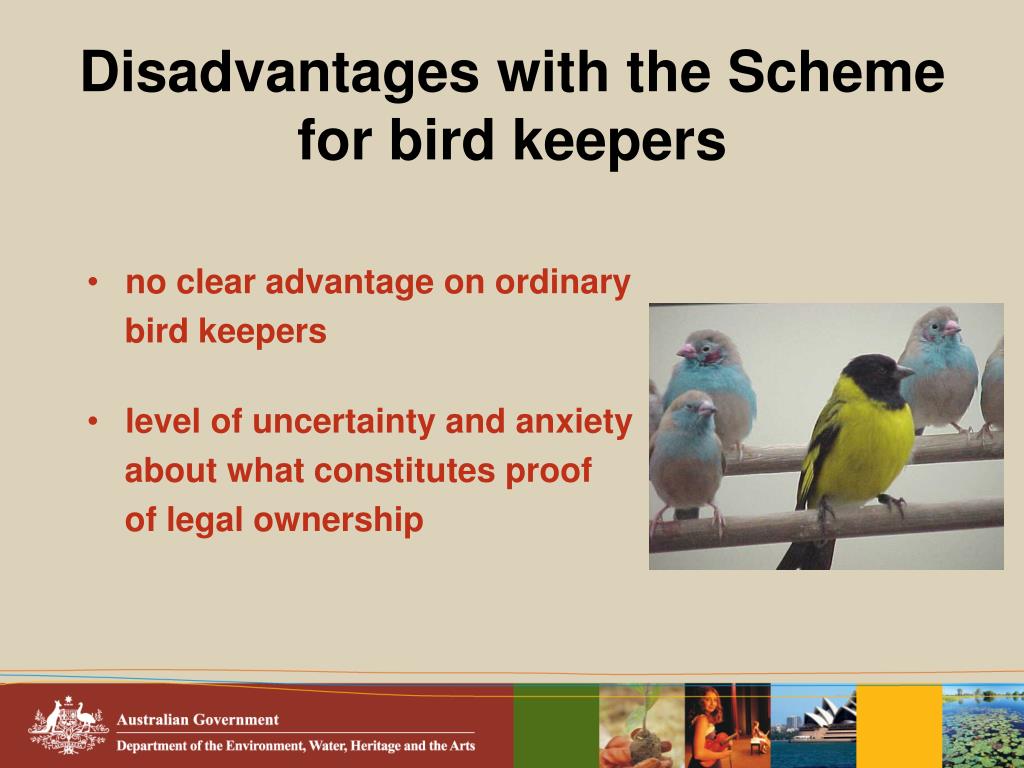 PPT Evaluation of the Scheme PowerPoint Presentation, free download