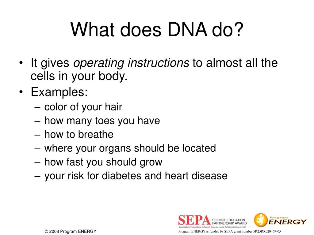 PPT DNA PowerPoint Presentation, free download ID615277