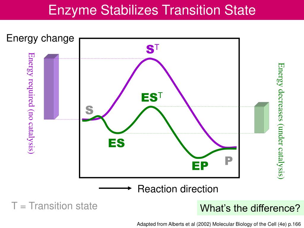 PPT Stickase PowerPoint Presentation ID615567