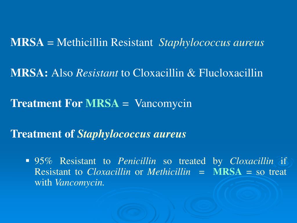 PPT STAPHYLOCOCCI PowerPoint Presentation, free download