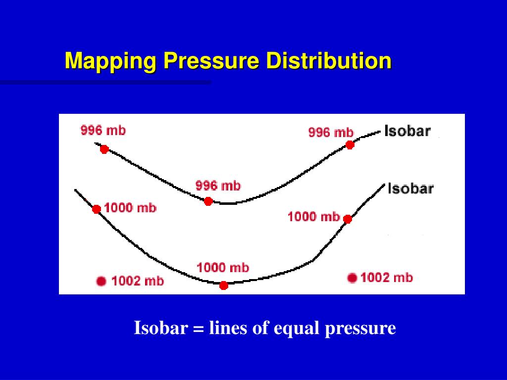 ch. 6 Flashcards Chegg.com