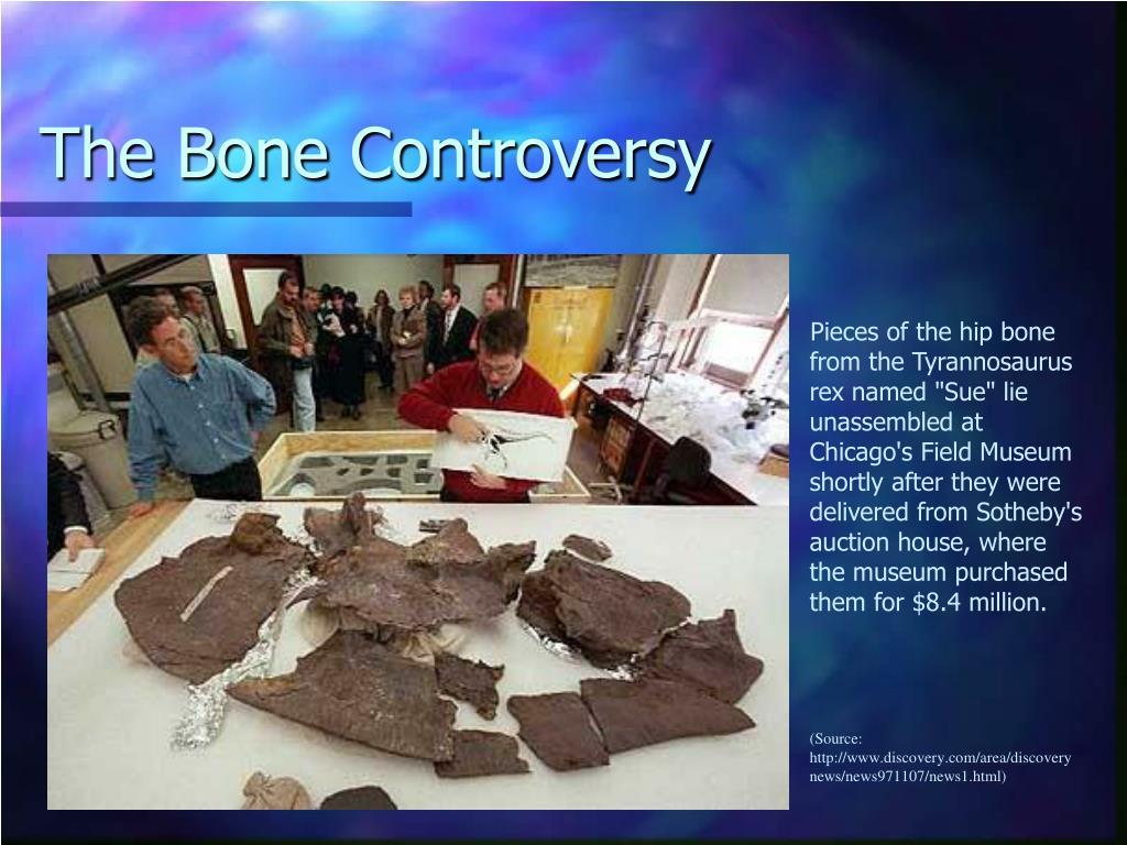 PPT - From Bones in a Box...to Heroes in Hollywood! PowerPoint