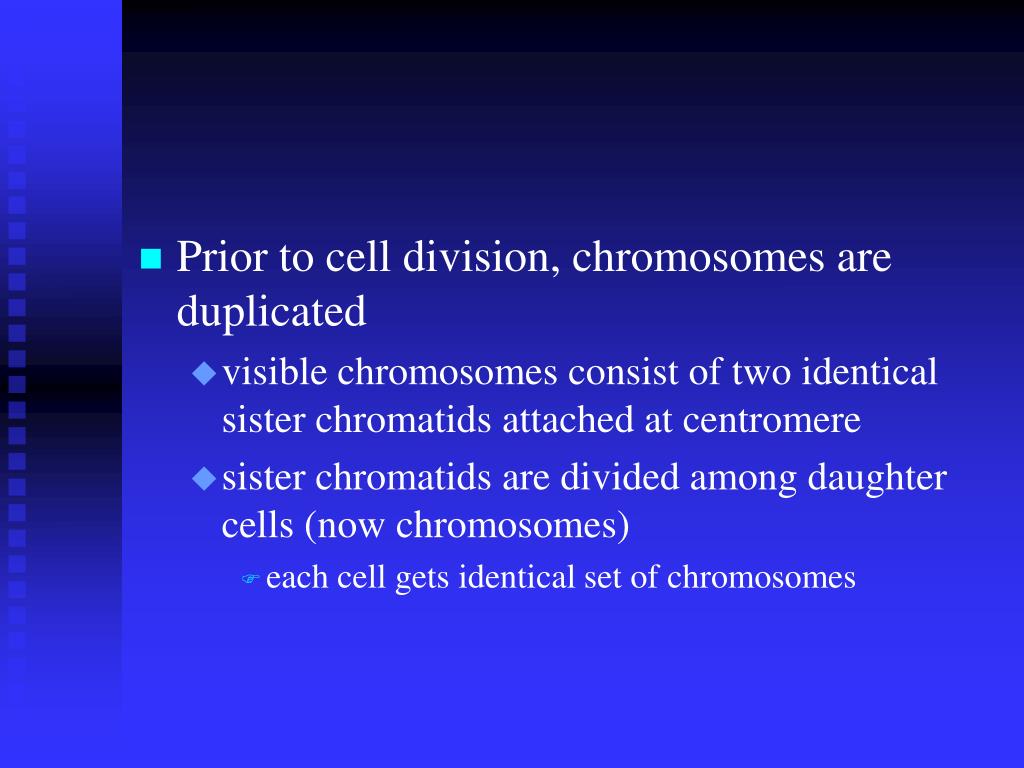 PPT Cellular Basis of Reproduction and Inheritance PowerPoint