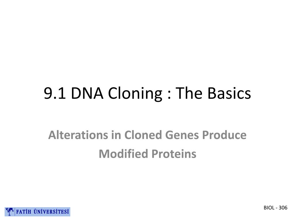 Cloning The Basics Answer Key
