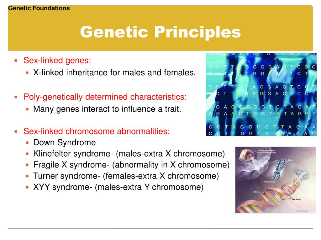 PPT Biological Beginnings PowerPoint Presentation, free download ID