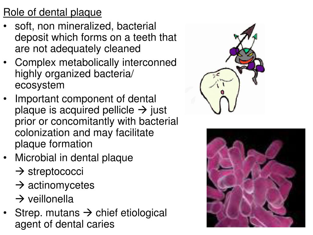 PPT PREVETION OF DENTAL CARIES PowerPoint Presentation