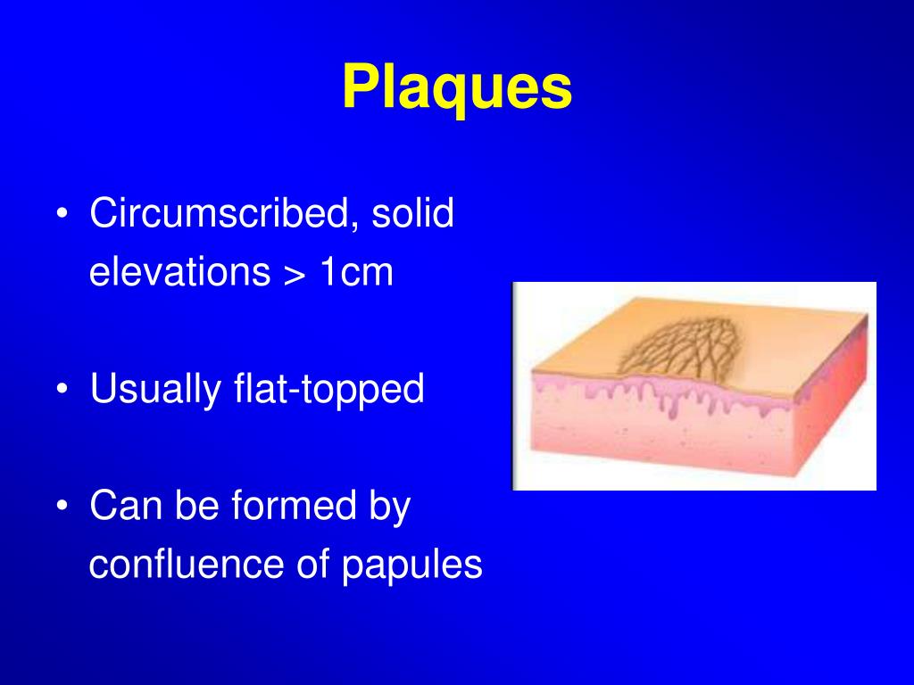 PPT Introduction to Dermatology PowerPoint Presentation, free
