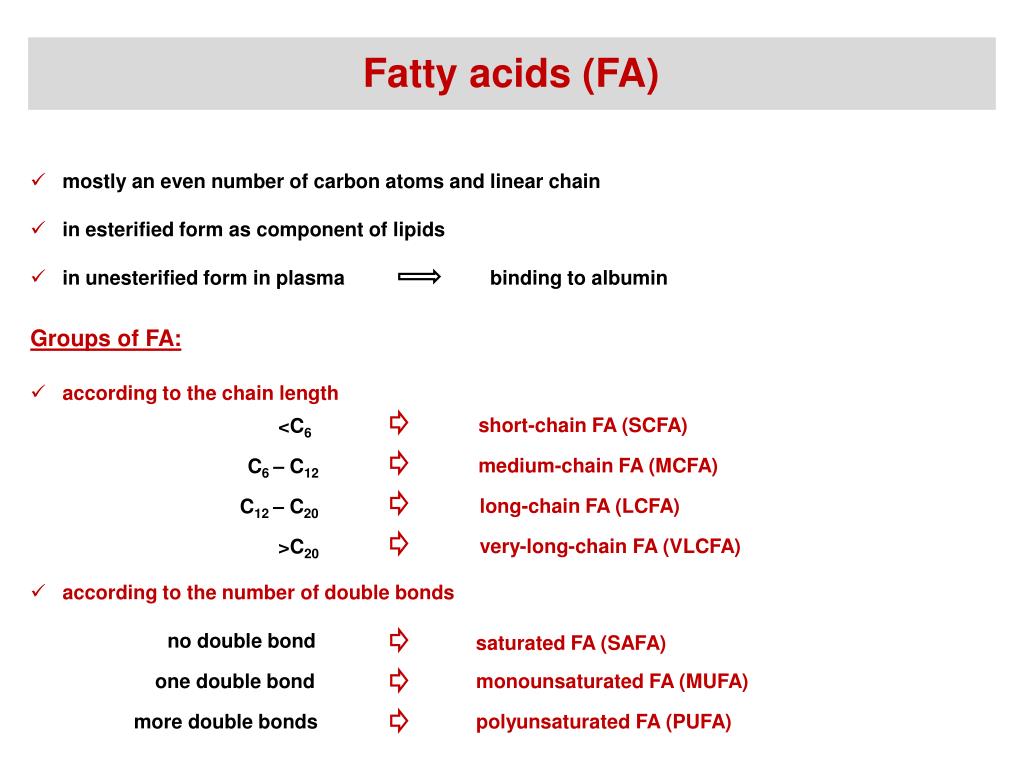 PPT Synthesis and degradation of fatty acids PowerPoint Presentation