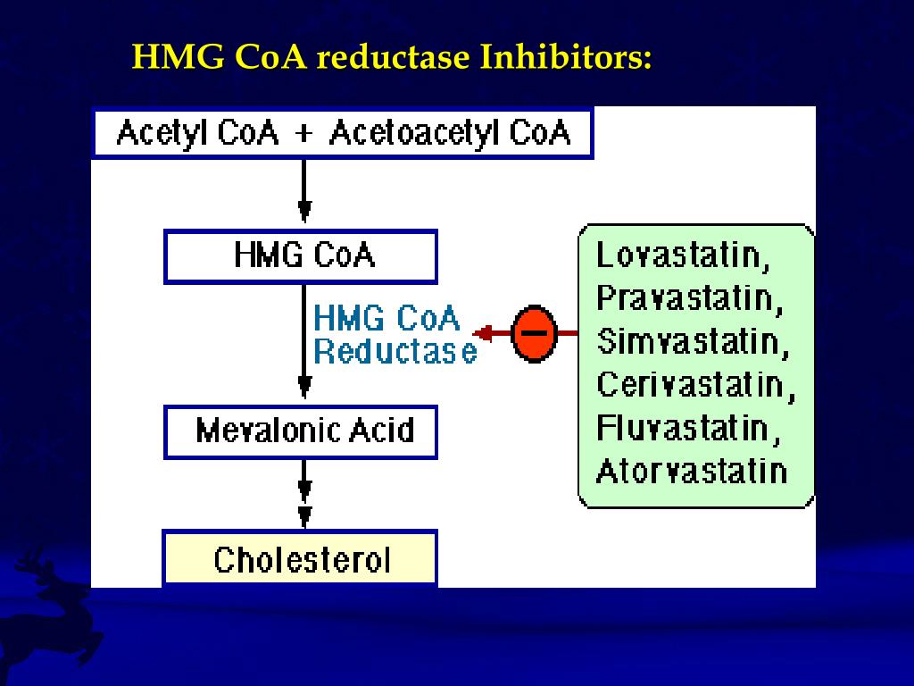 PPT Hyperlipoproteinemia PowerPoint Presentation ID628585