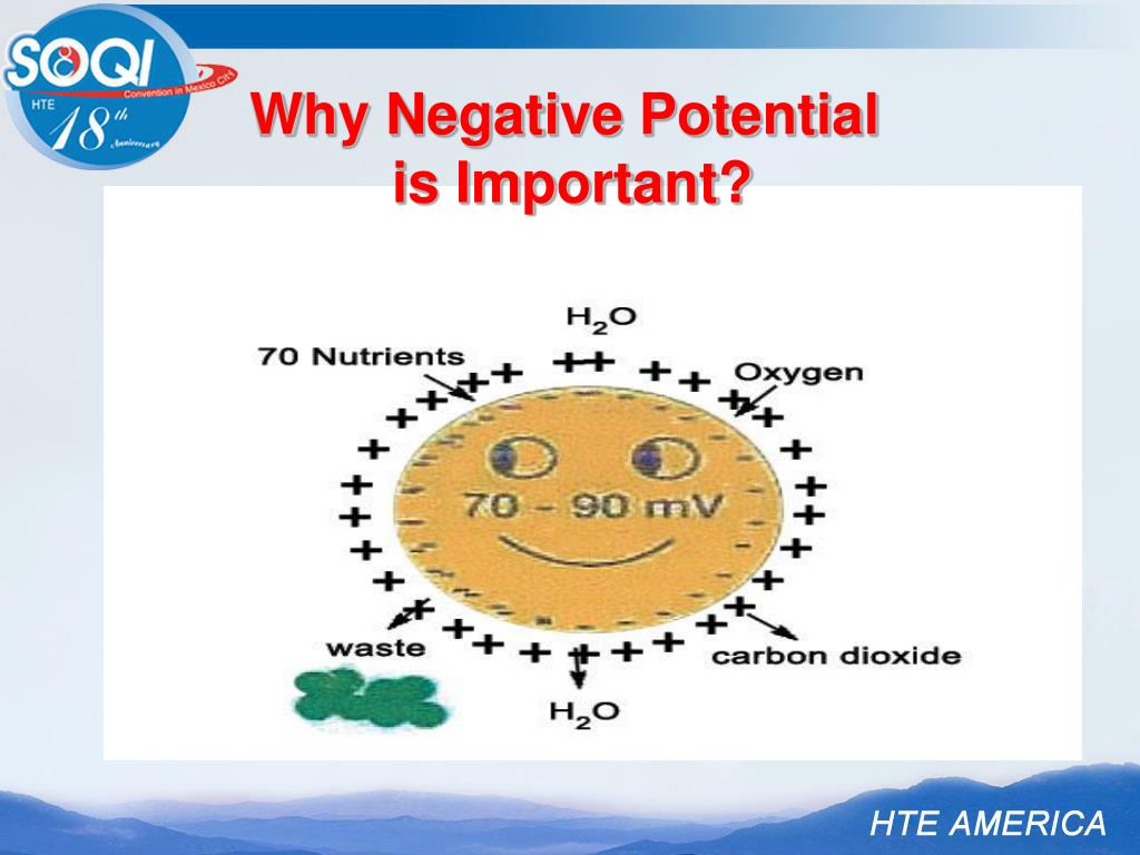 PPT New Negative Potential Body Energizer PowerPoint Presentation