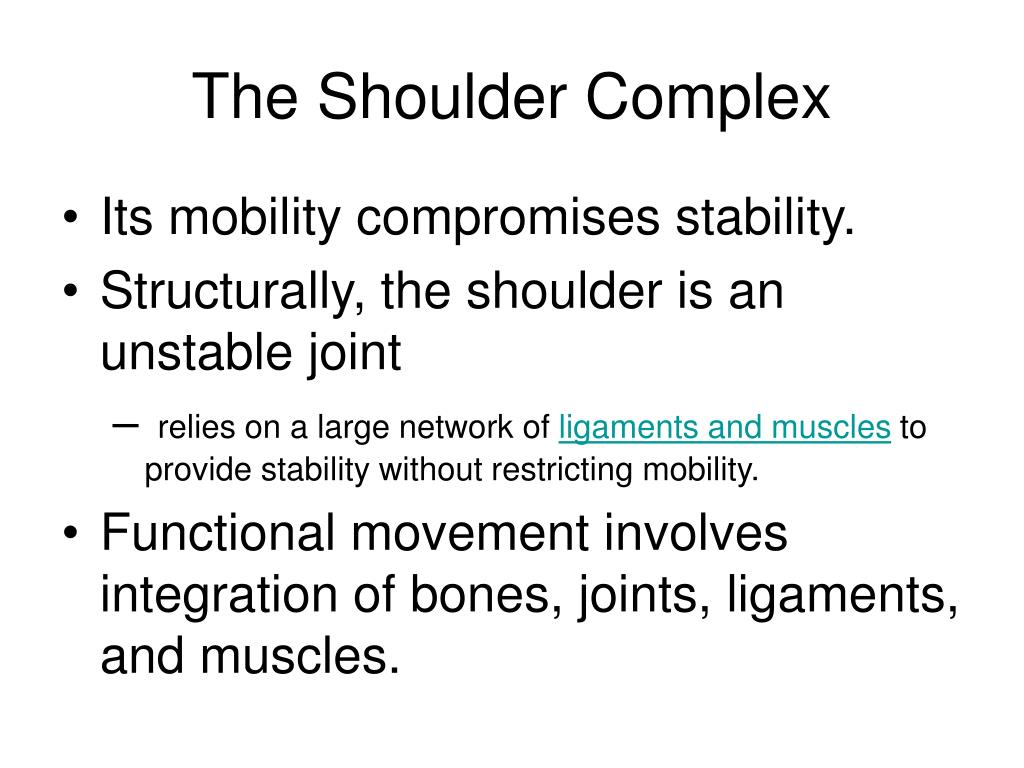 PPT The Shoulder Complex PowerPoint Presentation, free download ID