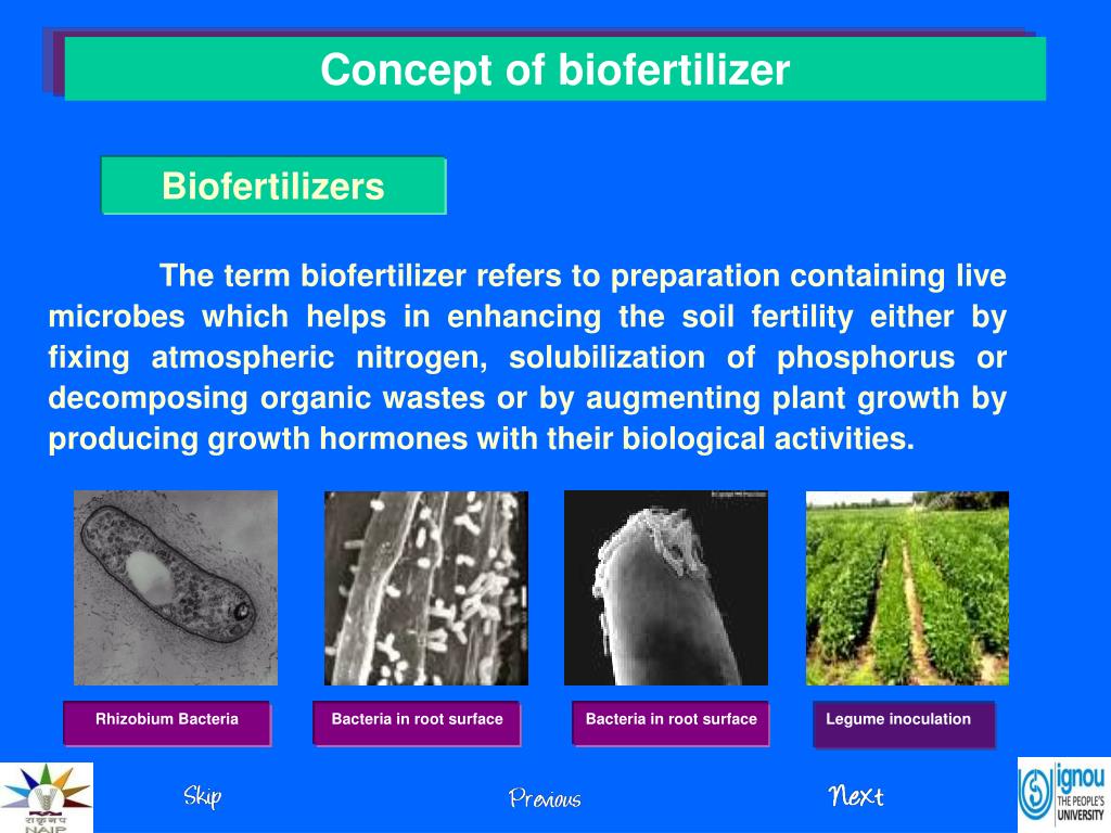 PPT Concepts of Biofertilizers PowerPoint Presentation, free