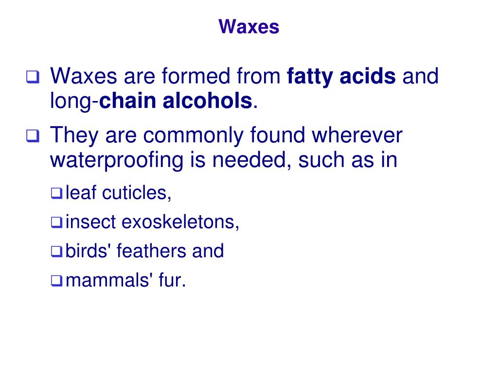 PPT Human Nutrition PowerPoint Presentation, free download ID634873