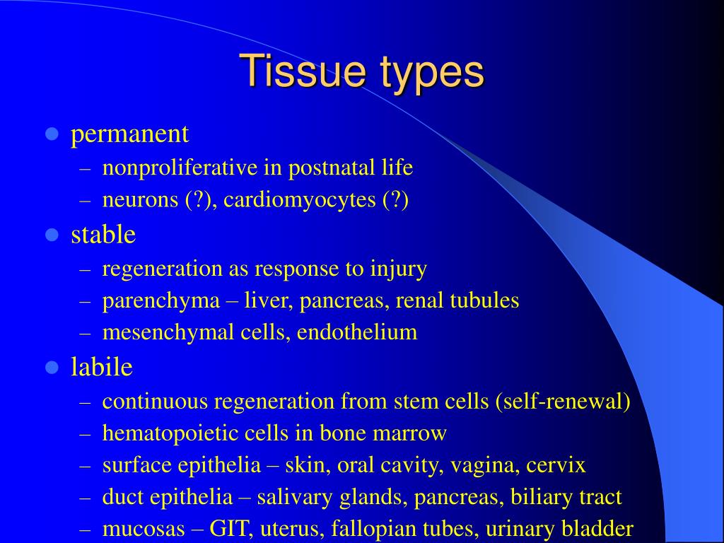 PPT Tissue Repair PowerPoint Presentation, free download ID635950